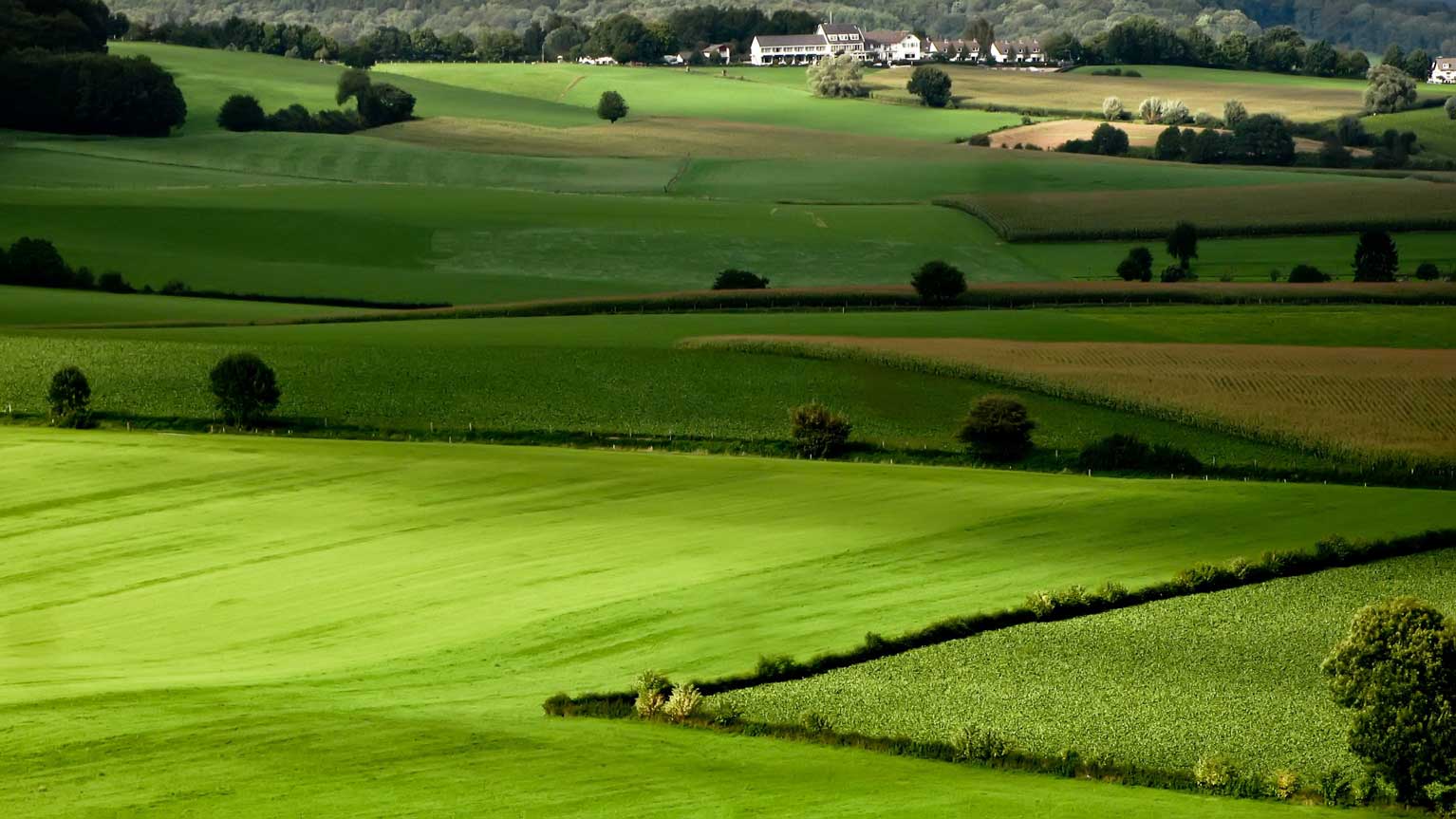 Agricuture Lands in chennai